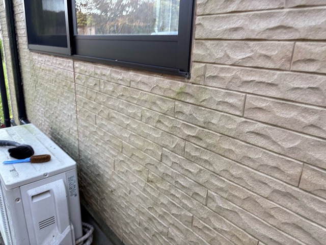 外壁に苔が生えている別角度の写真